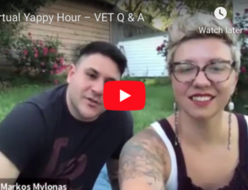 ? Virtual Yappy Hour ? – VET Q & A